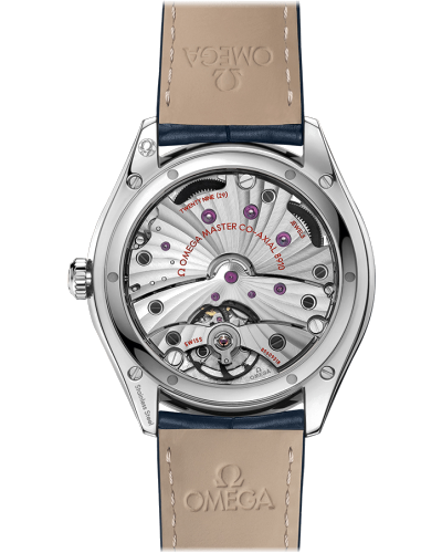 Omega Trésor Co‑Axial Master Chronometer 40 mm Steel on leather strap (horloges)