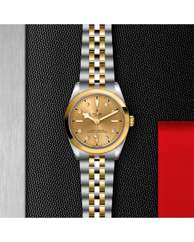 Tudor Black Bay 31/36/39/41 S&G 36 mm steel case, Steel and yellow gold bracelet (horloges)