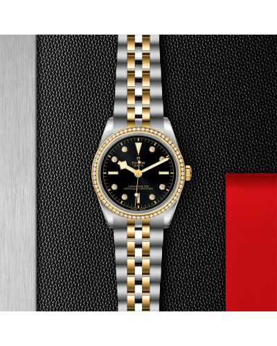 Tudor Black Bay 31/36/39/41 S&G 36 mm steel case, Steel and yellow gold bracelet (watches)